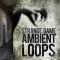 Epic Stock Media Strange Game Ambient Loops [WAV] (Premium)