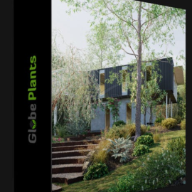 GLOBE PLANTS – BUNDLE 38 – AUSTRALIAN HOME & GARDEN PLANTS 04 (Premium)