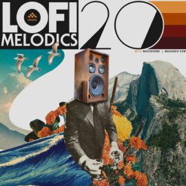 MSXII Sound Lofi Melodics 20 [WAV] (Premium)
