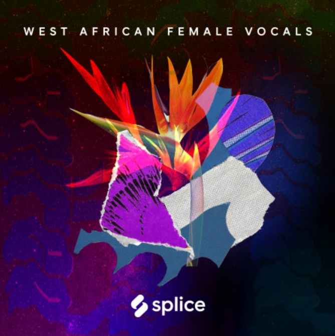 Splice Sessions West African Female Vocals [WAV]