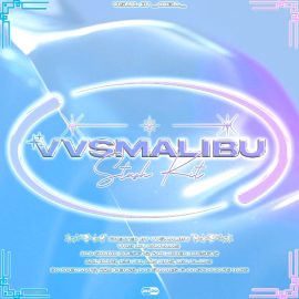 vvsmalibu Stash Kit 2022 [WAV, MiDi, Synth Presets] (Premium)