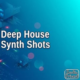 AudioFriend Deep House Synth Shots [WAV] (Premium)