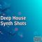 AudioFriend Deep House Synth Shots [WAV] (Premium)