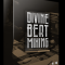 Divine Beat Mixing Video Training Course (Premium)