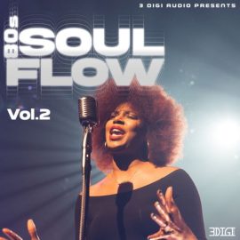 Innovative Samples 80’s Soul Flow Vol.4 [WAV] (Premium)