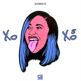Shobeats XOXO Vol.5 [WAV, MiDi, Synth Presets] (Premium)