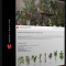 3DCOLLECTIVE – INTERIOR PLANTS PACK 01 (premium)