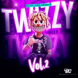 Big Citi Loops Twizzy Vol.2 [MULTiFORMAT] (Premium)