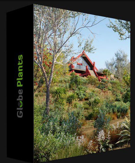 GLOBE PLANTS – BUNDLE 21 – NEW ZEALAND PLANTS
