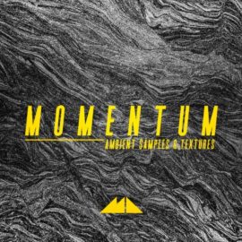 ModeAudio Momentum Ambient Samples and Textures [WAV] (Premium)