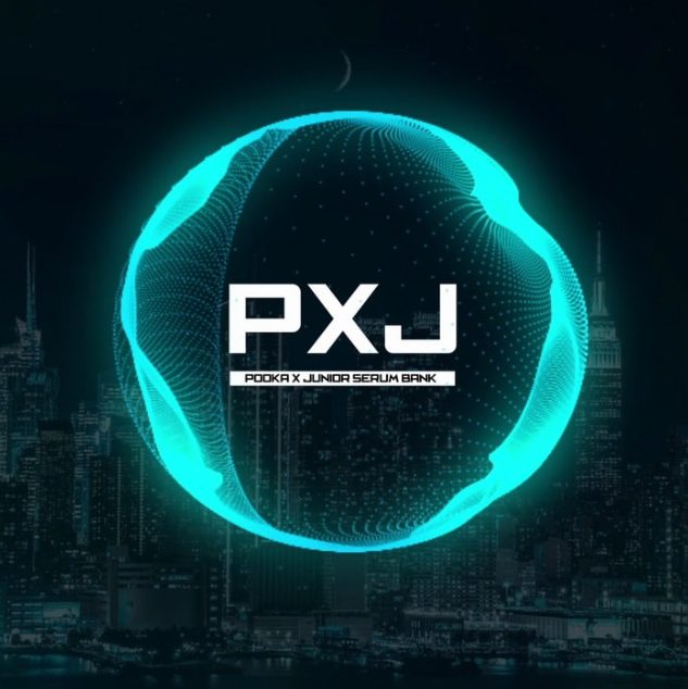 Pooka x Junior PXJ Serum Bank [Synth Presets]