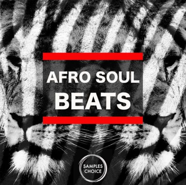 Samples Choice Afro Soul Beats [WAV]
