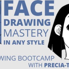 2danimation101 – Face Drawing Mastery Drawing Bootcamp (Premium)