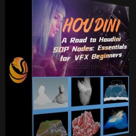 WINGFOX – A ROAD TO HOUDINI SOP NODES – ESSENTIALS FOR VFX BEGINNERS WITH SUN YEFEI (Premium)
