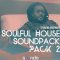 Albert Sterling Menendez Sterling Ensemble Soulful House Sound Pack 2 (Premium)