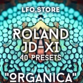 LFO Store Roland JD-XI Organica 40 Presets and Sequences (Premium)