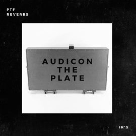 PastToFutureReverbs Audicon The Plate“ Tennessee Reverb IR’s! (Premium)