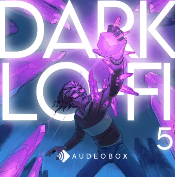 AudeoBox Dark Lo-Fi 5