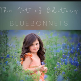 Sandra Bianco – Bluebonnets edit (Premium)