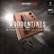 Soundiron Hopkin Instrumentarium Woodentines KONTAKT (Premium)