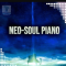 Toolbox Samples Neo Soul Piano  (Premium)