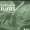 New Beard Media Evocative Flutes Vol 2 (premium)
