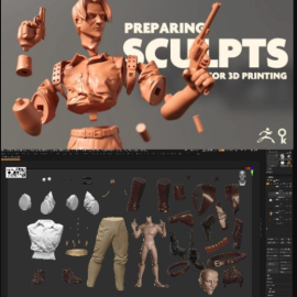 Preparing sculpts for 3d printing (Premium)