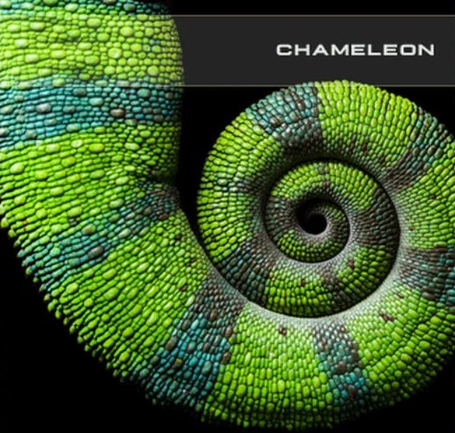 SoundsDevine Chameleon