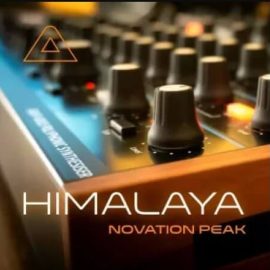 Soundsauca Himalaya (Premium)