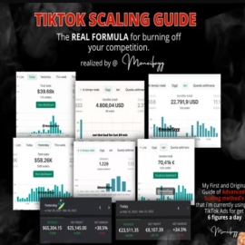 MONEIFAY – TikTok Scaling Secret for 6 FIGURE DAY [+ Testing Phase BONUS] (Premium)