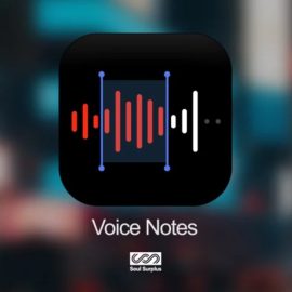 Soul Surplus Voice Notes (Premium)