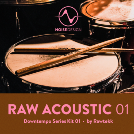 Steinberg Noise Design Raw Acoustic Downtempo 1 (Premium)
