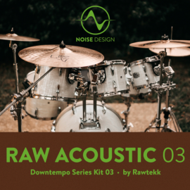 Steinberg Noise Design Raw Acoustic Downtempo 3 (Premium)