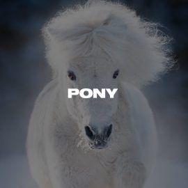 W6RST Tim Henson Pony Tabs (Premium)
