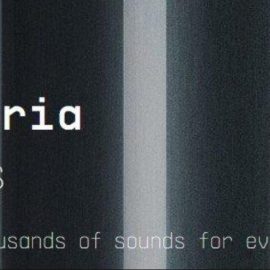Arturia Sound Banks Bundle 2023.12 Extracted New Content ONLY (Premium)