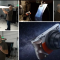 Karl Taylor Photography – Stellar Camera Product Shoot (Premium)