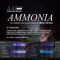 Lux Cache LC Producer Series : ‘AMMONIA’ BY BLOOD OF AZA (Premium)