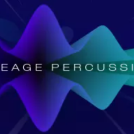 ProjectSAM Lineage Percussion v1.2 KONTAKT (Premium)