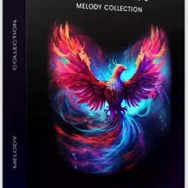 Flywavs Phoenix Melody Collection (Premium)