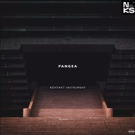 Infinite Samples Pangea v1.2.10 KONTAKT  (Premium)