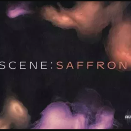 Native Instruments Scene: Saffron v1.0.0 KONTAKT (Premium)