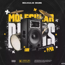 nolyrics MOLECULAR DRUMS (Premium)