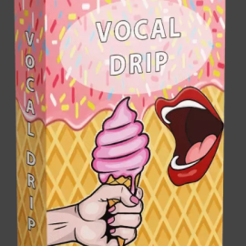 Rys Up Audio Vocal Drip 1 Preset Pack FL Studio (Premium)