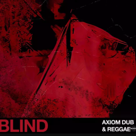 Blind Audio Axiom Dub and Reggae (Premium)