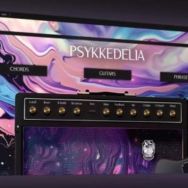 Beatsamples PSYKKEDELIA KONTAKT (Premium)