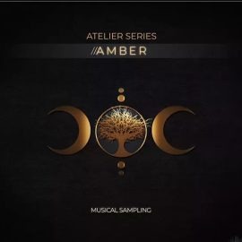 Musical Sampling Atelier Series Amber KONTAKT  (Premium)