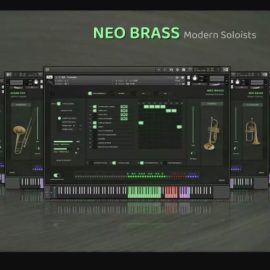 Insanity Samples Noe Brass v2.0.1 KONTAKT (Premium)