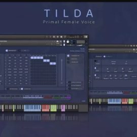 Insanity Samples Tilda v1.0.3 KONTAKT (Premium)