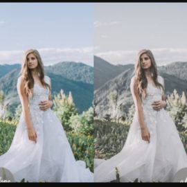 Wedding Presets Lightroom (Premium)