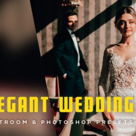 6 Elegant Wedding Lightroom and Photoshop Presets (Premium)